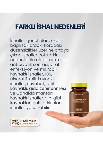 Akkermansiam-D modelleri