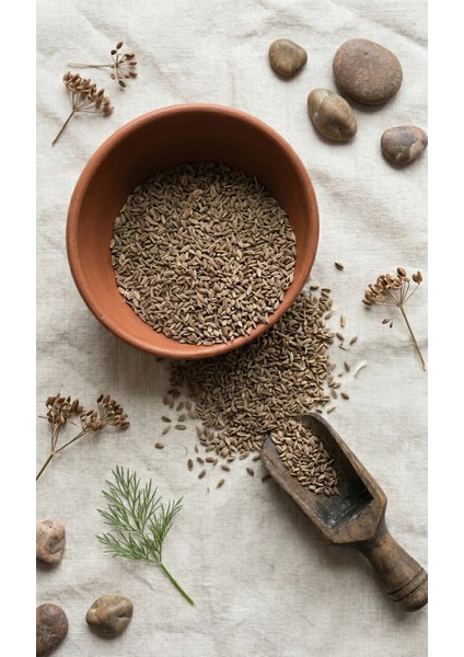 Anason Tohumu 100GR, Doğal ve Katkısız fiyatları