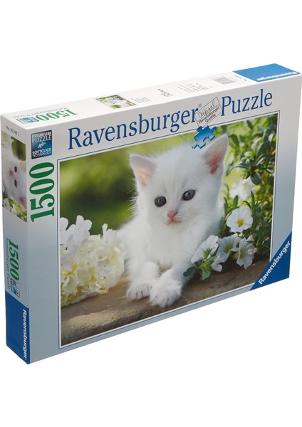 1500 Parça Beyaz Kedi Puzzle modelleri