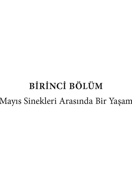 Zamanı Durdurmanın Yolları