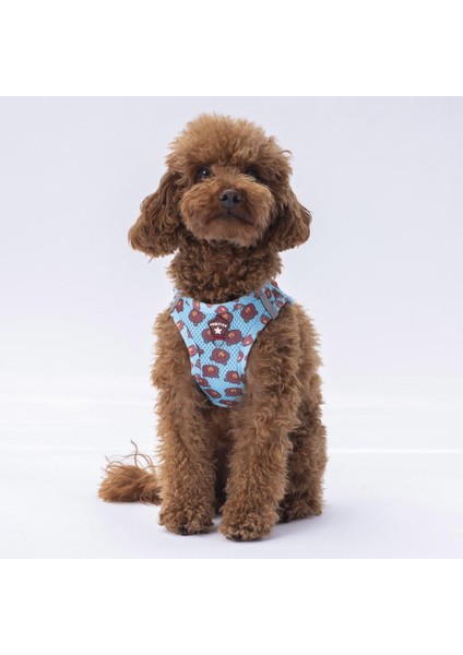 Air-Mesh Bears Köpek Göğüs Tasması fiyatları