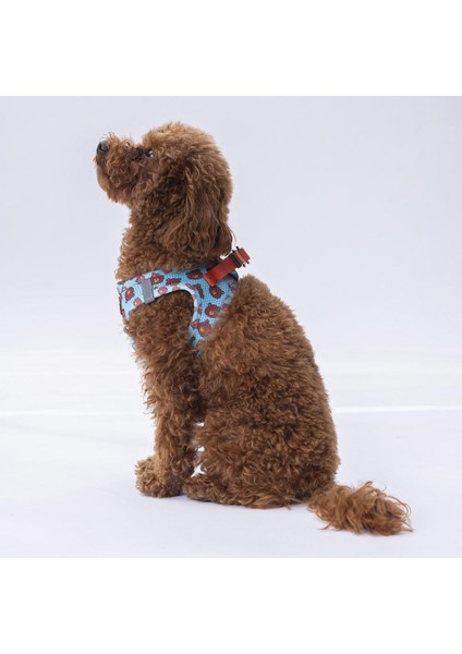 Air-Mesh Bears Köpek Göğüs Tasması modelleri