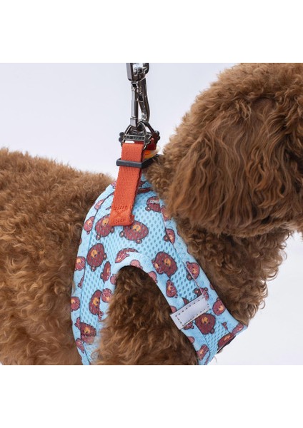 Air-Mesh Bears Köpek Göğüs Tasması indirimleri