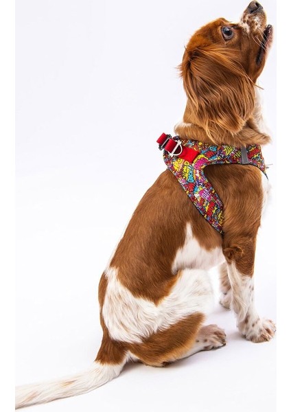 Air-Mesh Wow Köpek Göğüs Tasması fiyatları