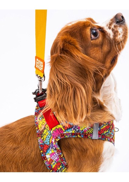 Air-Mesh Wow Köpek Göğüs Tasması modelleri