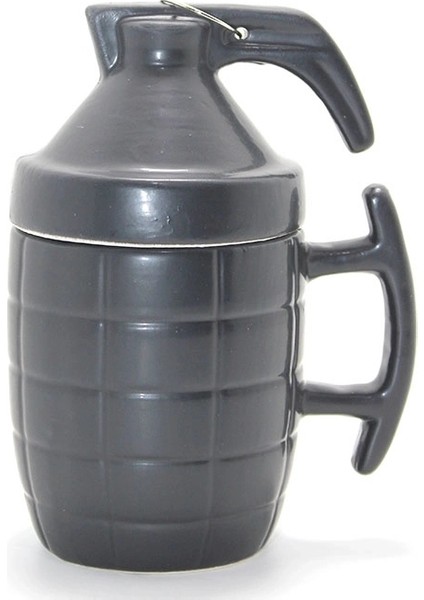 Epilons ALK1181