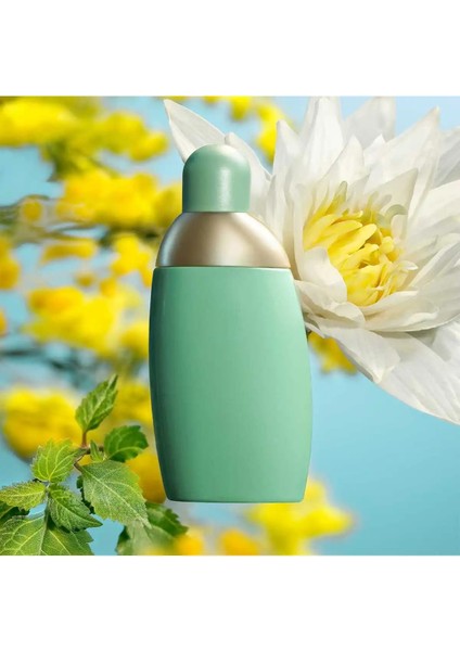 Eden EDP 30 ml Kadın Parfüm fiyatları