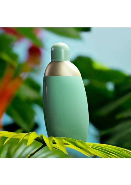 Eden EDP 30 ml Kadın Parfüm modelleri