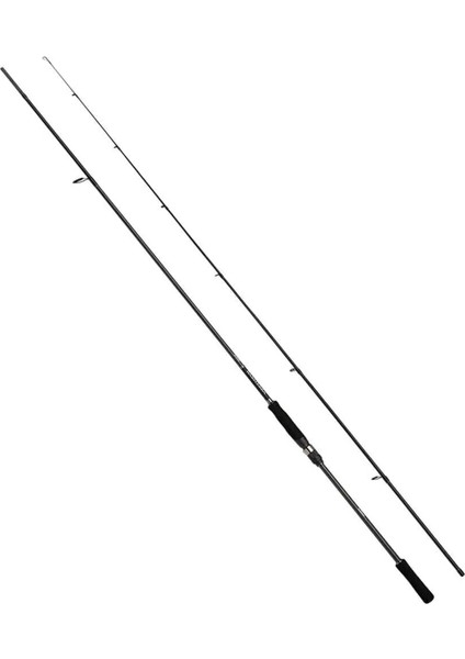 Bassterra A 290 cm 15-60 gr Spin Olta Kamışı fiyatları