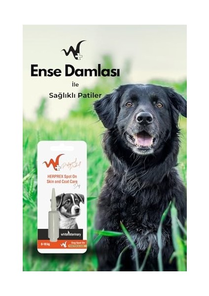 Köpek Damlası Bit ve Pire 0-10 kg 1ml fırsatları