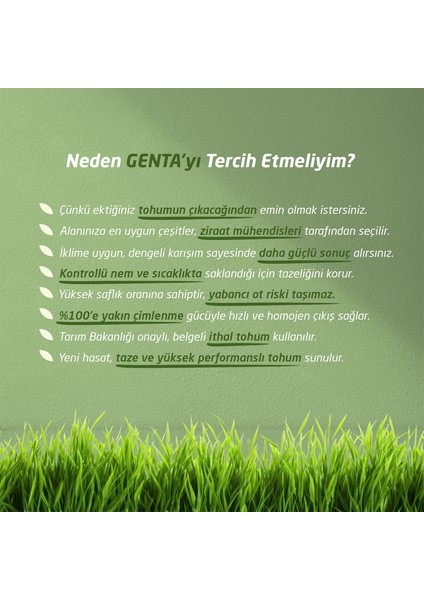 Onarım Çim Tohumu 1 kg. modelleri