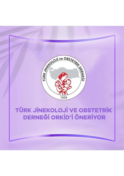 Oreviosell Orkid Günlük Ped Normal Dev Ekonomi Paketi 80'li