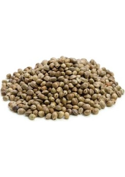 1 kg Kendir Çedene Tohumu, Çetene 1000 gr fiyatları