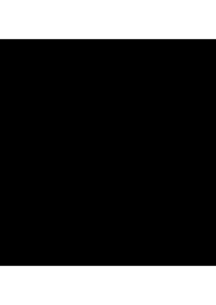Bohem Minimalist Çizgisel Kanvas Tablo 0491 fiyatları