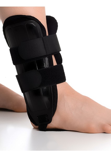 Orthez Code: ORT-364 Pedli Ayak Blekliği Cast Standart Beden