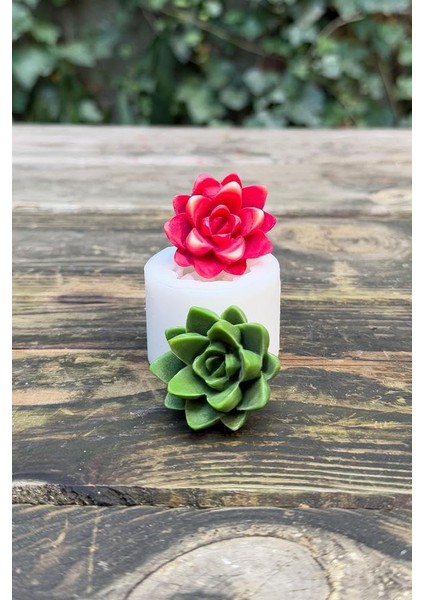 Rufus Concept Agavoides Sukulent Mum Kalıbı (Silikon) modelleri