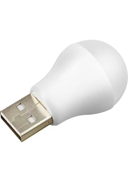 Powermaster PM-20920 5V 1A USB LED Lamba Gün Işığı fiyatları