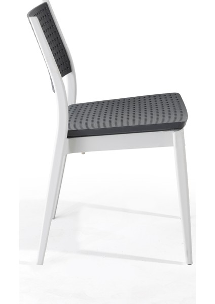 Segino Sandalye 4'lü Paket (Beyaz-Antrasit) fiyatları