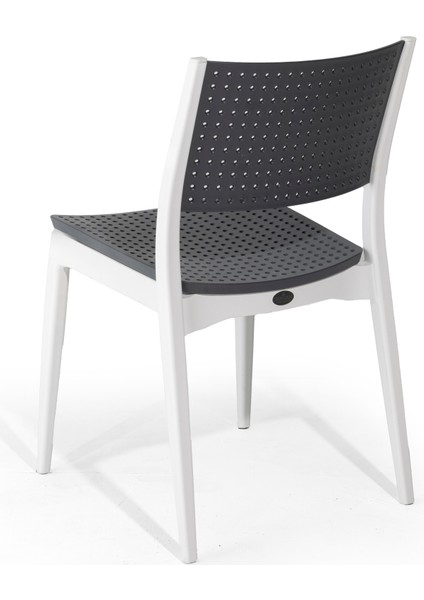 Segino Sandalye 4'lü Paket (Beyaz-Antrasit) modelleri