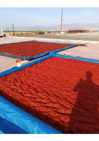 Tatlı Biber Salçası 1kg - Ev Yapımı Güneş Kurusu modelleri