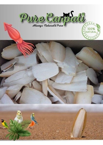 Irmakxx Small Boy Kalamar Kemiği, 100 Gram fiyatları