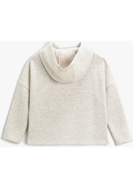 Kapüşonlu Sweatshirt Pul Payet Işlemeli Simli fiyatları