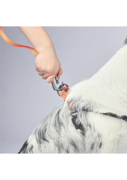 Nerimu M-Pets Wıld Jungle Harness (S) modelleri