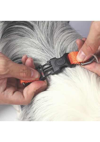 Nerimu M-Pets Wıld Jungle Harness (S) fırsatları