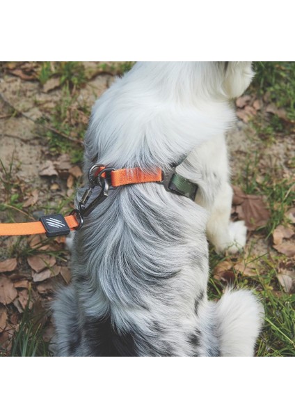 Nerimu M-Pets Wıld Jungle Harness (S) indirimleri