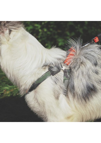 Nerimu M-Pets Wıld Jungle Harness (S)
