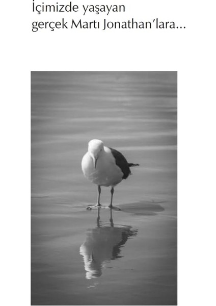 Prime Martı Jonathan Livingston fiyatları