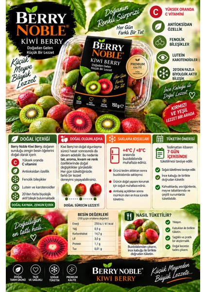 Kiwi Berry Mini Kiwi fiyatları