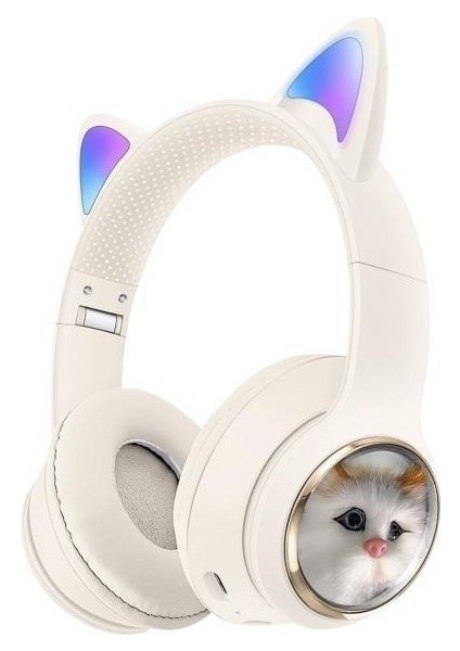 Baskenttekno HD11