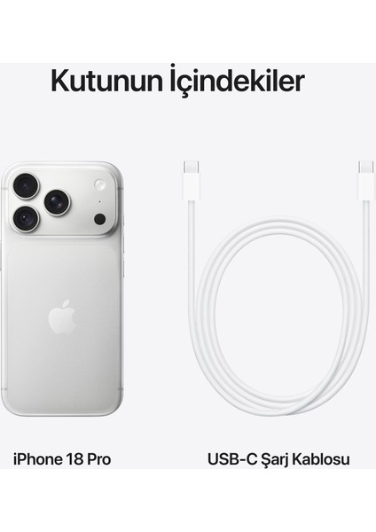 iPhone 18 Pro 1 TB Gümüş