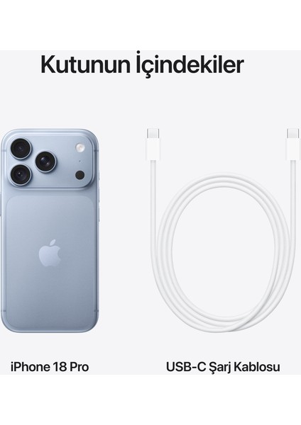 iPhone 18 Pro 256 GB Buzul Rengi