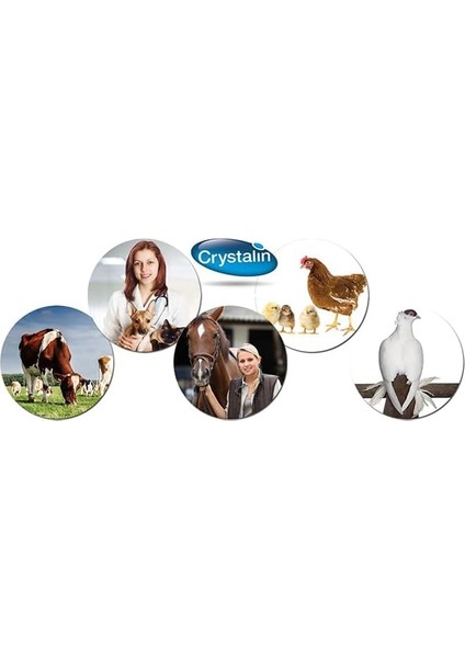 Crystalin Animal Health Yara Bakım Solüsyonu 5 Lt fiyatları