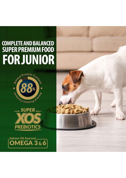 Küçükmini Irk Tavuklu Yavru Köpek Maması 3 kg fiyatları