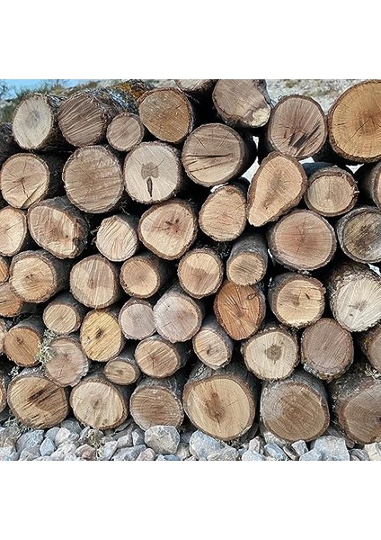 Meşe Odunu, Şömine Odunu 15KG fiyatları