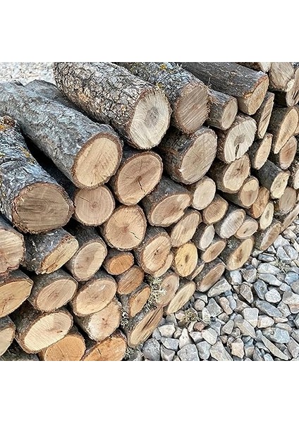 Meşe Odunu, Şömine Odunu 15KG fırsatları