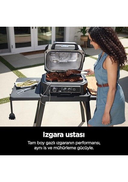 Woodfire Pro Xl Electric Bbq Grill & Smoker OG850EU indirimleri