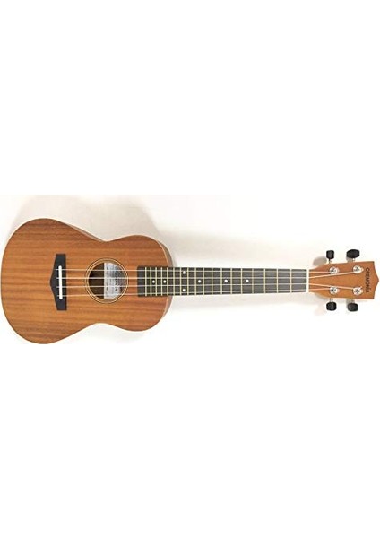 AU006L-23 Concert Ukulele fiyatları