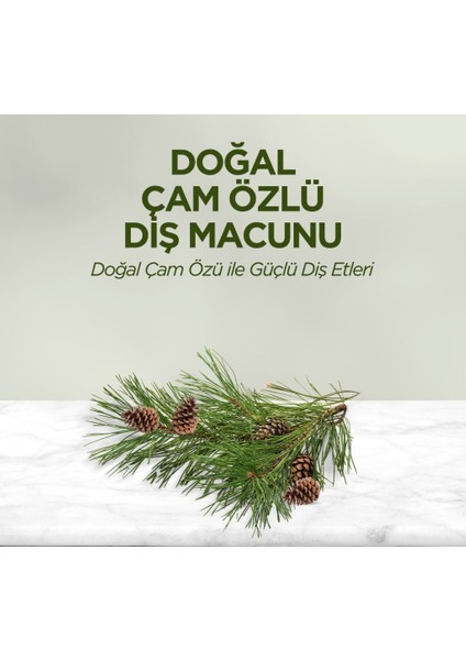 Doğal Diş Macunu 90 gr Çam Özlü fiyatları