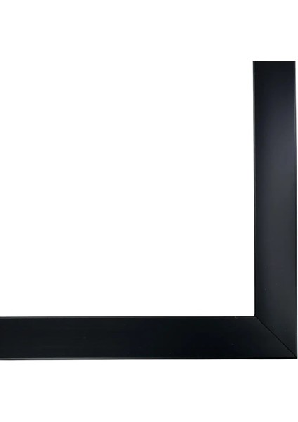 Slim Ince Profil Siyah Çerçeve 33 x 49 cm Camlı fiyatları