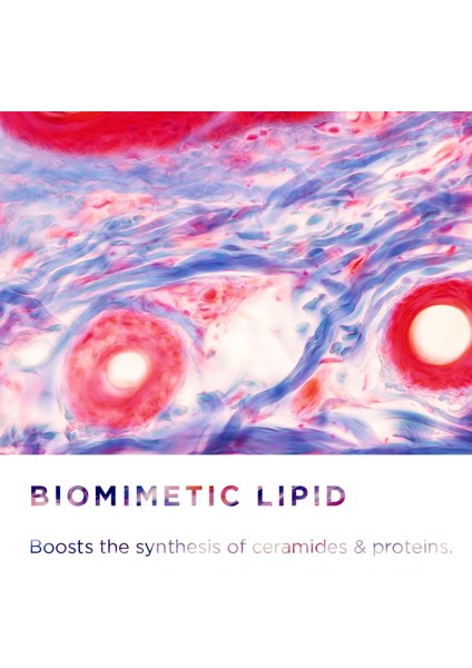 Bioderma Sensibio Ar+ Cream 40 ml modelleri