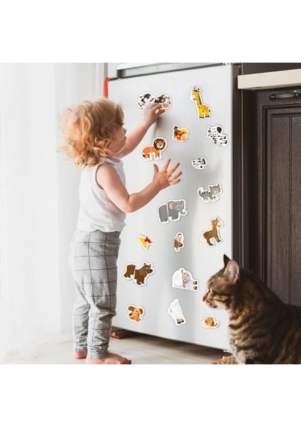 Yükselen Zeka 12-36 Ay Ilk Magnet Puzzle modelleri