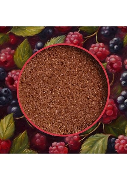 Berry & Raspberry Böğürtlen ve Ahududu Aromalı Filtre Kahve 200 G fırsatları