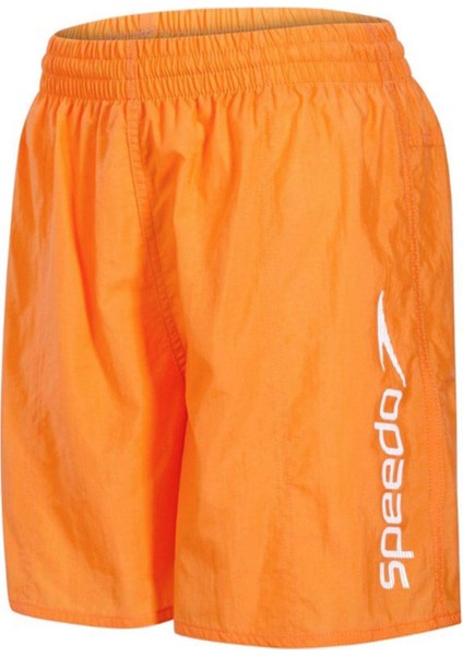 Speedo Challenge Erkek Çocuk Şort Mayo 8-01325B413 fiyatları