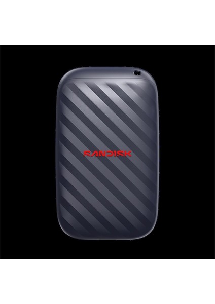 Sandisk SDSSDE101T00G25