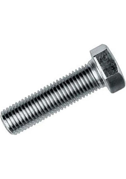 Luordstore M8X15