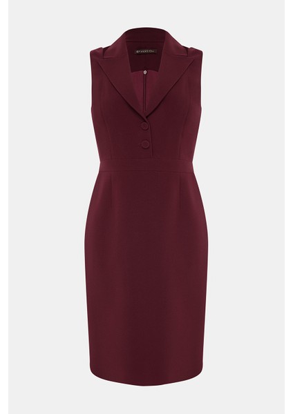 Burgundy Sleeveless Dress fırsatları